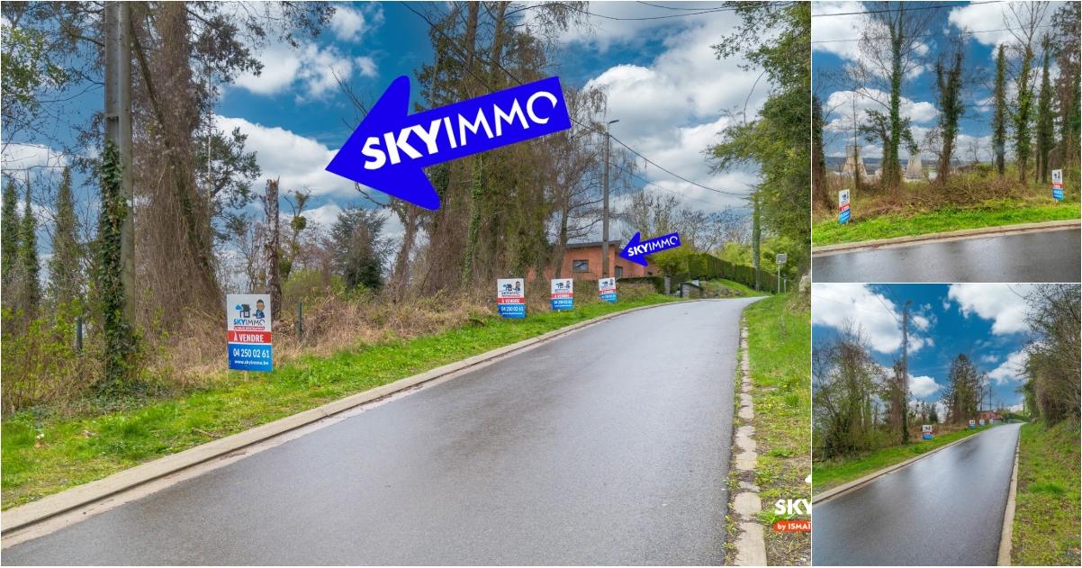 Terrain à vendre à Bois de Huy Amay (VBE05681) - Aanzicht 2