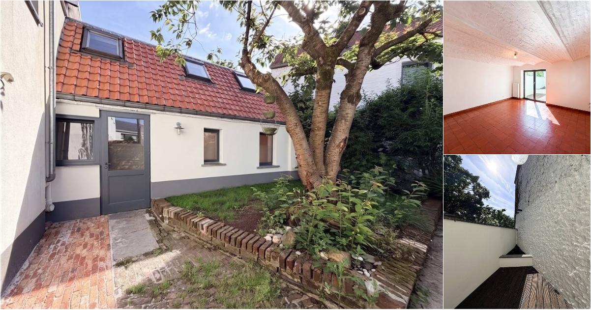 Maison à louer à Rue de la Dodaine 4 Mont-Saint-Guibert (VBE46910) - Aanzicht 2