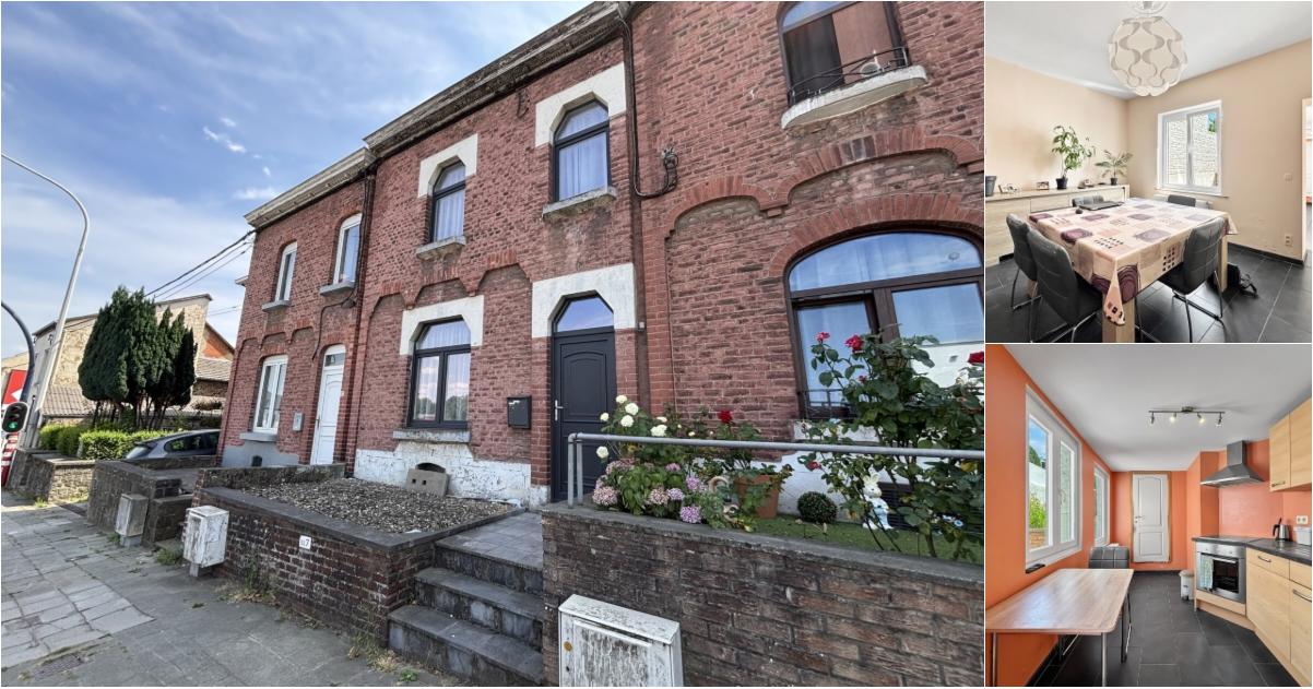 Maison à vendre avec terrasse et jardin , Belgrade (VBE47921) - Aanzicht 2