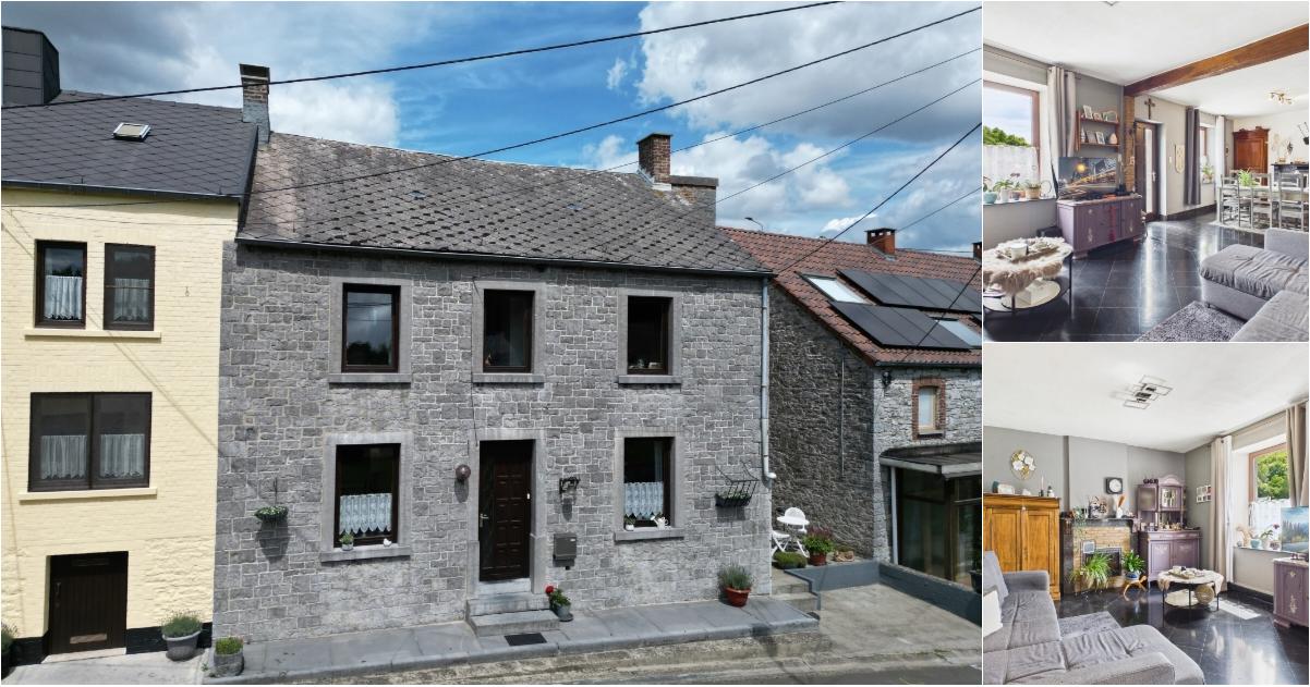 Maison à vendre à Rue d'Ermeton 2 Furnaux (VBE49157) - Aanzicht 2