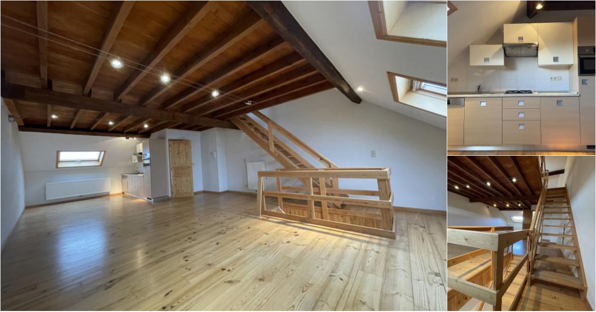 Duplex à louer avec terrasse et 1 chambre , Bruxelles (VBE51324) - Aanzicht 2