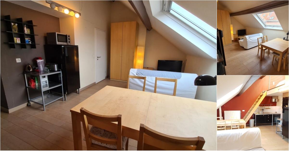 Appartement à louer à Rue des Erables 17 Etterbeek (VBE52084) - Aanzicht 2