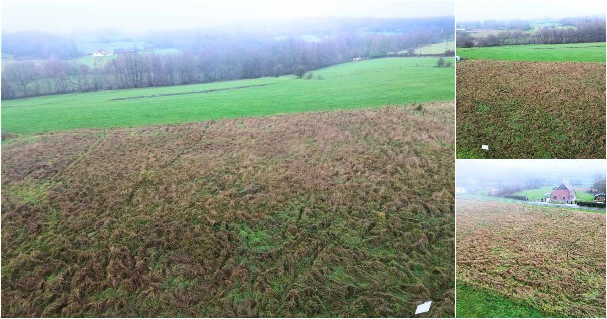 Terrain à vendre de 1194 m² à Forge-Philippe (VBE53380) - Aanzicht 2