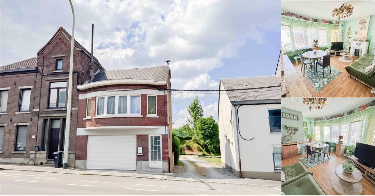 House in Montigny-le-Tilleul - Aanzicht 2