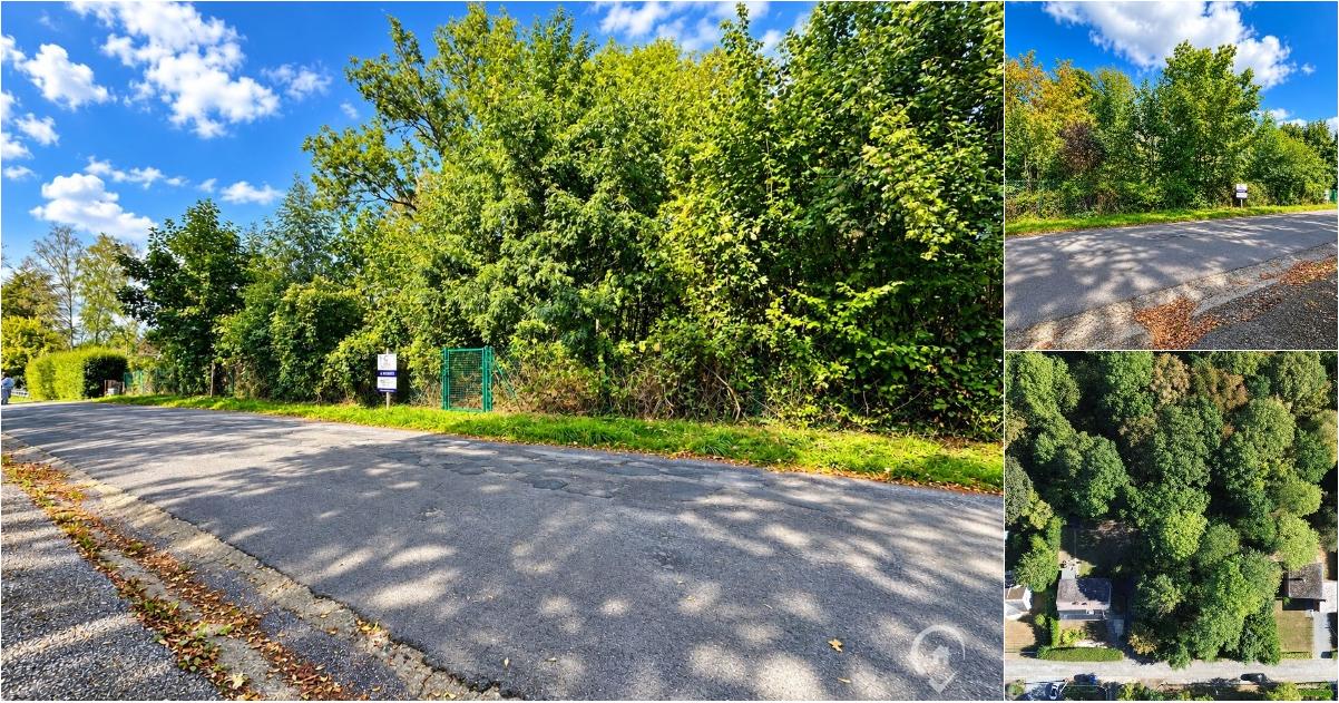 5 terrains à vendre - Naninne (5100) dès 135 000 euros | Immovlan