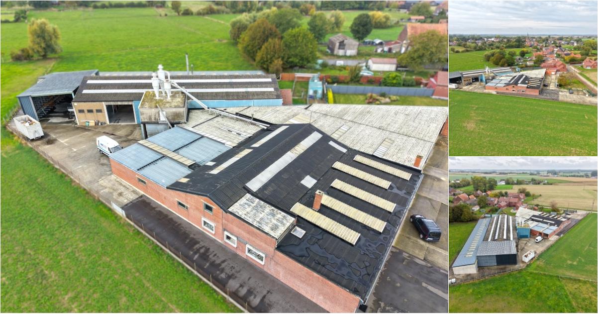 Industrie te koop in Rue des Ruelles 49 Chièvres (VBE78040)