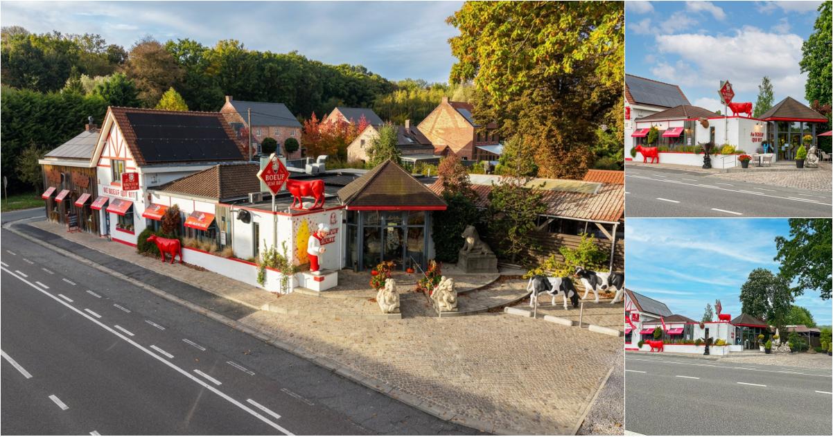 Handelspand te koop in Route de mons 2 Pommeroeul (VBE78962)