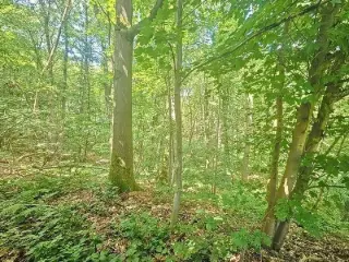 Land for sale Wavre (VWD09973)