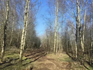 Land for sale Bastogne (VWD12082)