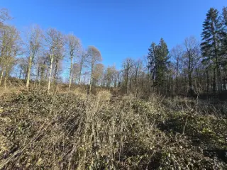 Terrain agricole à vendre Oizy (VWD12539)