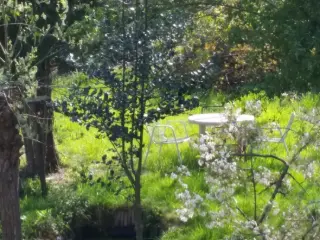 Maison à vendre Uccle (VWD12912)