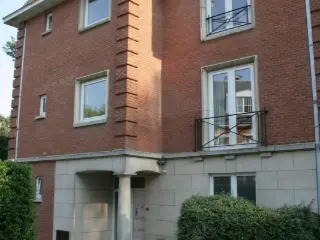 Rez-De-Chaussée à louer Bruxelles (VWD13983)