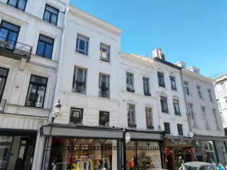 Opbrengsteigendom te koop Brussel (VWD14012)