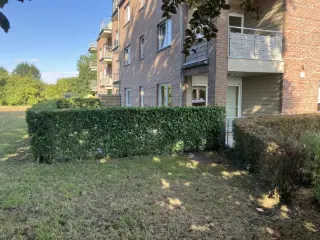 Ground floor for rent Corbais (VWD14135)