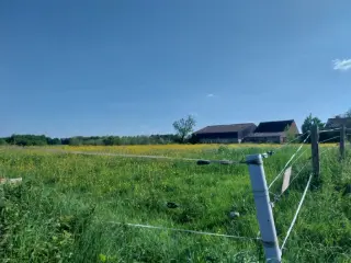 Bouwgrond te koop Virginal-Samme (VWD14152)