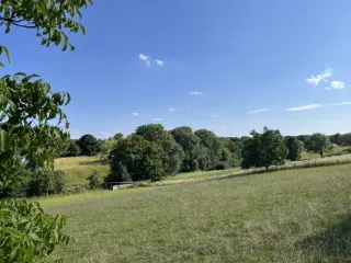 Terrain à lotir à vendre Saint-Georges-sur-Meuse (VWD14338)