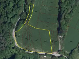 Terrain à bâtir à vendre Vresse-sur-Semois (VWD14357)