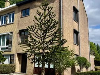 Residence for sale Dilbeek (VWD14710)