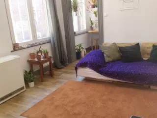 Studio for rent Liege (VWD14798)