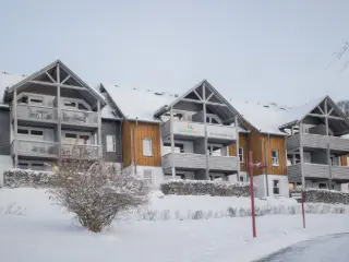 Appartement à vendre Winterberg (VWD14934)