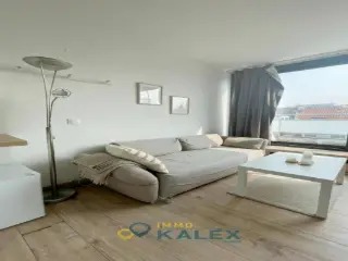 Penthouse à louer Saint-Gilles (VWD15139)