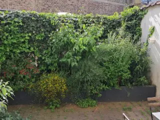 Ground floor for sale Vorst (VWD15191)