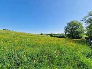 Bouwgrond te koop Les Hayons (VWD15229)