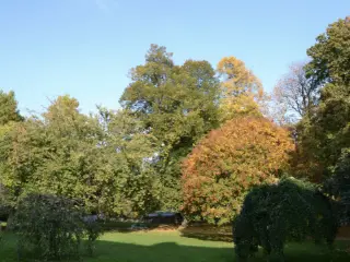 Ground floor for rent Liege (VWD15360)