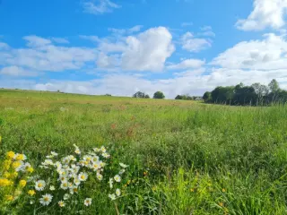 Development site for sale Tenneville (VWD15437)