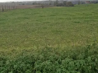 Terrain à bâtir à vendre Bois-de-Lessines (VWD15657)