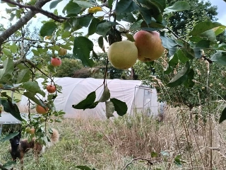 Huis te koop Doische (VWD15782)