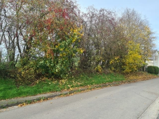 Bouwgrond te koop Sainte-Ode (VWD15802)