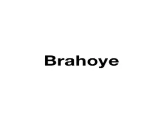 Brahoye (9100 Nieuwkerken-Waas)