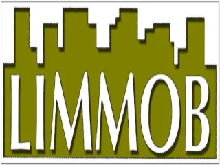 Limmob scrl (1050 Elsene)