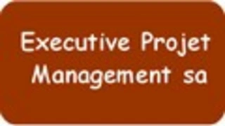 Executive Project Management S.A (1180 Ukkel)
