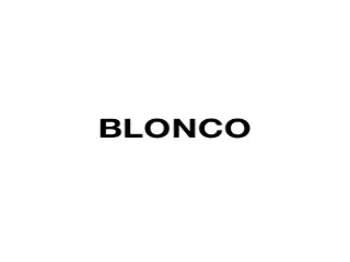 BLONCO SA (6000 Charleroi)