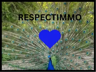 Respectimmo